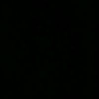 abdel_609