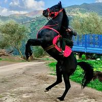 karim_10_ma
