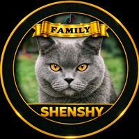 shenshifamily1