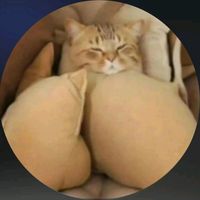 _memezinhos_
