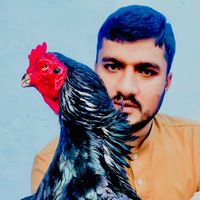 tajamal.bukhari99