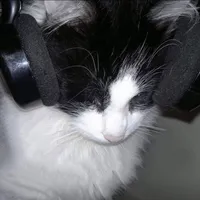 original sound - amyliftss