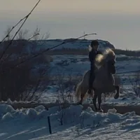 original sound - siilfrii