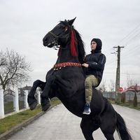 cosminandrei900