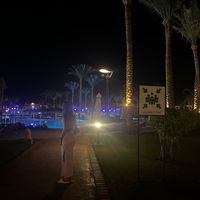 noiconicc