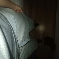 sebatzz7