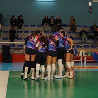 molinarivolley