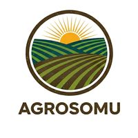 agrosomu