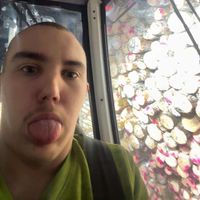 puuhapatee