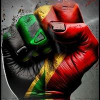 amazone.guyanaise01