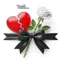 god_lovesyou881