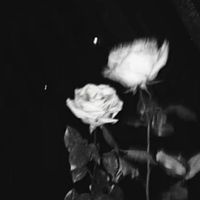 girlinstate