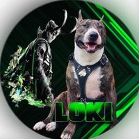 el.loki.bhoy