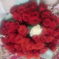 alinafarcas5