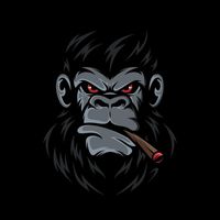 fitmitmir4