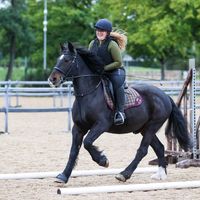 dorkwithahorse