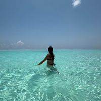 sheida.travels
