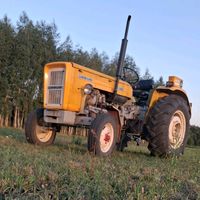 agro.thomson1984