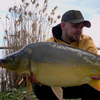 balint_carpfishing_hun