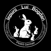 iepurii.lui.bogda