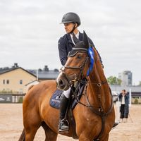 sakari.tuukkanen