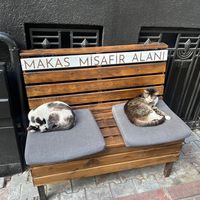 perii.kizz