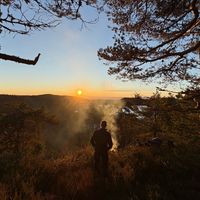 jensjohnsrud