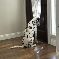 youd0ntknowme.8