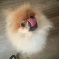 noonewillfindthsacc
