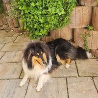 julinchen028
