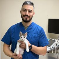 dr_handi_veto