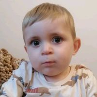 dominik.kontra.dmd