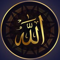 usamashah701