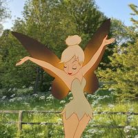 solora_explorer