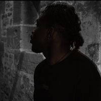 loso1.3