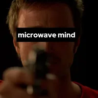 original sound - microwave.mind