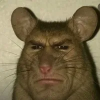 original sound - disboywild