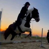 ap.equestrian12