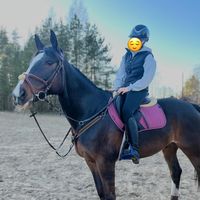 alkuperäinen ääni