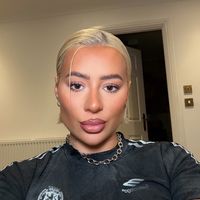 demisims