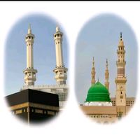 farwa081