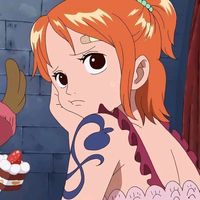 nami.2.0.0.5