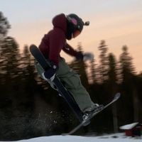 anton.shreddar