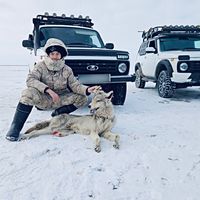оригинальный звук
