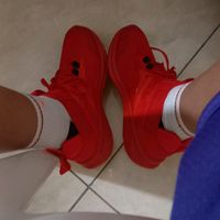 signorelli97