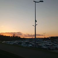 random.vidios24