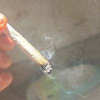 smokigs