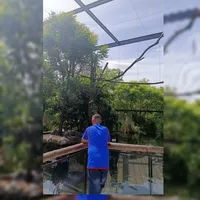 original sound - antoinecaredda1