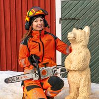 sofia.logger