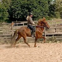 original sound - shellyii9392